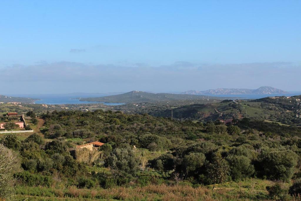 Appartamento L'Albero Magico Nella Campagna Gallurese Santa Teresa Gallura Exterior foto